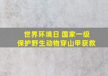 世界环境日 国家一级保护野生动物穿山甲获救